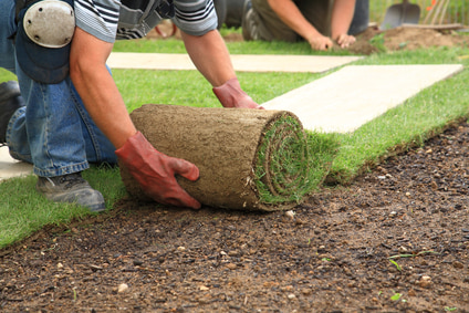 3 Benefits Of Sodding To Create The Lawn Of Your Dreams In Mahwah
