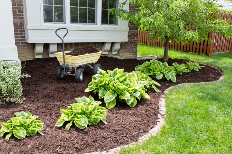 Mulch Versus Sod: What's Right For My Property?